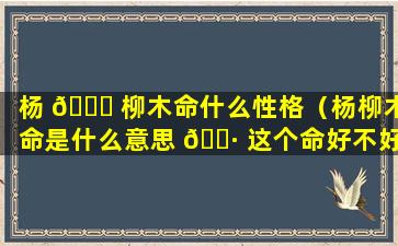 杨 🐎 柳木命什么性格（杨柳木命是什么意思 🕷 这个命好不好）